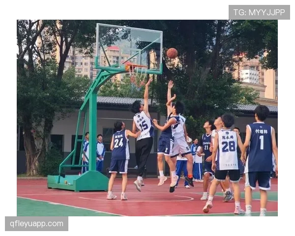 如何正确理解篮球比赛中的后场规则及其具体判罚标准